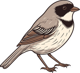 Captivating Sparrow Vector Background