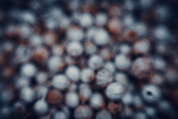 Blurred background Coriander seeds
