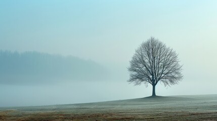 Naklejka premium Minimalist landscape photography, capturing nature