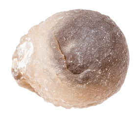 close up of sample of natural stone from geological collection - unpolished agate mineral isolated on white background