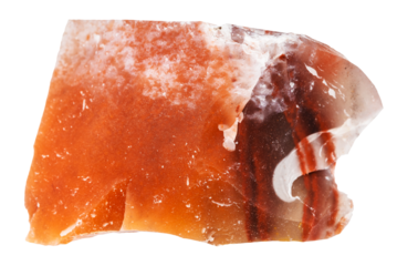close up of sample of natural stone from geological collection - raw red chalcedony mineral isolated on white background from Jambul, Kazakhstan
