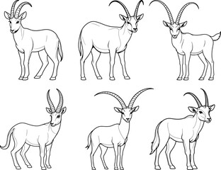 Scimitar horned Oryx hand drawn coloring page and outline vector design