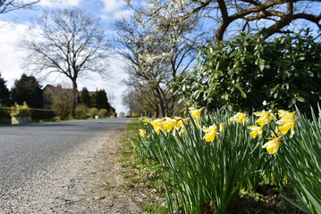 Straße im Frühling