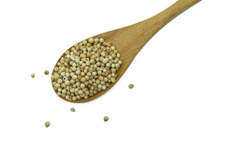 Coriander seeds on wooden spoon isolated on white background. Top view