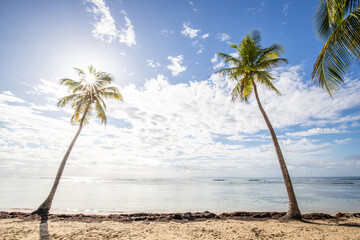 Romantic Caribbean sandy beach with palm trees, turquoise sea. Morning landscape shot at sunrise at...