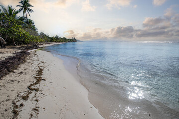 Romantic Caribbean sandy beach with palm trees, turquoise sea. Morning landscape shot at sunrise at...
