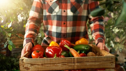 Closeup of Farmer Holding Wooden Crate with Vegetable.