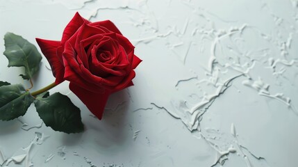 A UHD close-up of a single red rose placed delicately on a pristine white surface, with ample empty space nearby for including branding or text overlays.