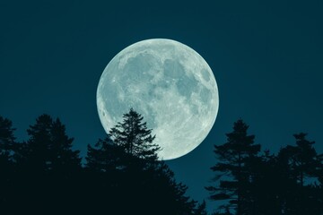 Serene Full Moon in Clear Night Sky Over Quiet Garden, Capturing the Mystical Beauty of the Night.