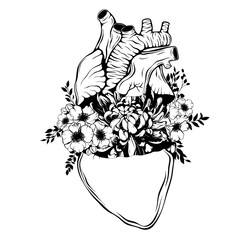 Doodle background with realistic human heart, flowers for Valentine greeting card, wedding. Romantic sign, nature love concept. Line art, print, tattoo sketch