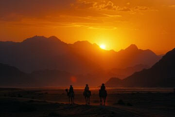 awn, desert and camel, dust with light