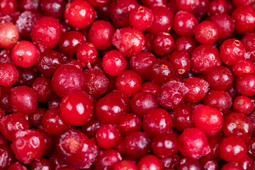 frozen for storage ripe red cranberries