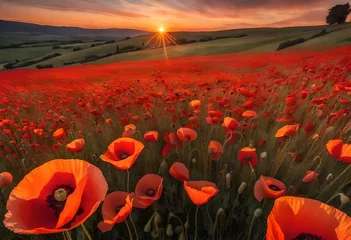 Poster Im Rahmen A breathtaking sunset casting warm hues over a vast field of poppies, creating a stunningly vibrant landscape captured in high © Muhammad Faizan