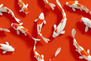 A collection of orange and white koi fish swimming together in a pond