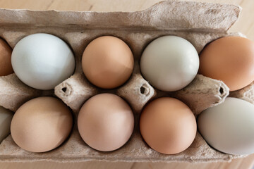 brown and blue eggs in carton
