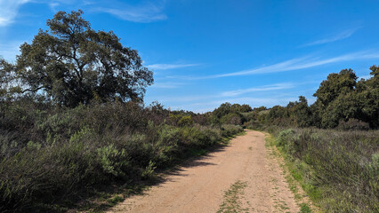 Hiking trail in the Casper wilderness park in southern California