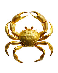 Abby isolated on transparent background