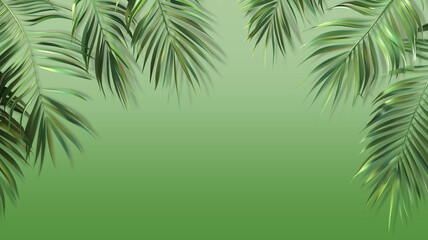 Fototapeta na wymiar Fresh, verdant coconut or date palm leaves. Intricate textures and shades of green. Shadow for 3d effect.