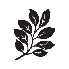 Silhouette of branch with leaves from young tree isolated on a white background