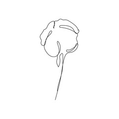 Single continuous line drawing of whole soft and fluffy cotton flower for farming logo identity. Modern one line draw design graphic vector illustration.