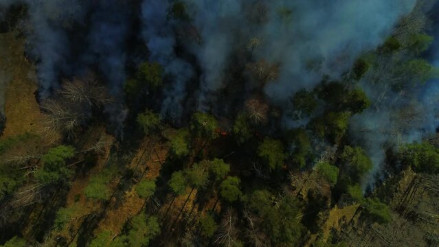Aerial wildfire forest fire out of control