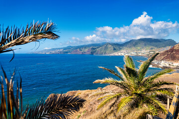 The photo captures a breathtaking view of Madeira. Deep blue sea, lush green mountains, and clear skies framed by palm leaves are visible. It's a picturesque portrayal of the beauty of nature.