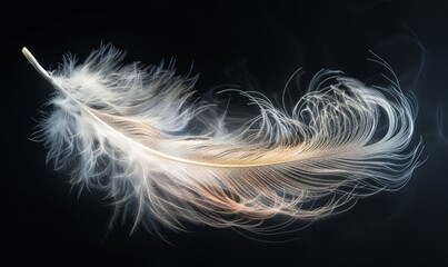 Detailed close-up of a single white feather resting on a black surface