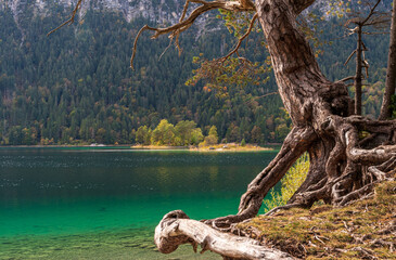 Eibsee im Allgäu