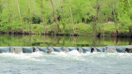 Rio com &aacute;rvores, natureza pura, &aacute;gua do rio, 