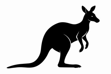 Kangaroo silhouette  vector illustration 