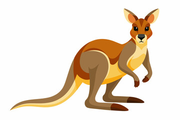 Kangaroo vector illustration 