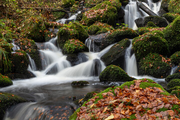 Elzfälle im Schwarzwald