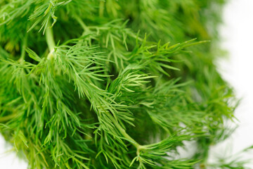 Close-Up 4K Ultra HD Image of Dill Herb - Stock Photography