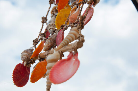 Seashell summer dreamcatcher. Wind chime of sea shell. Seychelles seashell wind chime. Shell dreamcatcher at sea beach. Summer vacation decoration. Sea shell craft chandelier