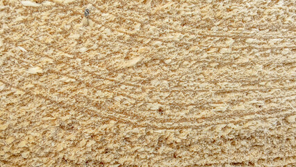 Wood Texture Wavy Ring Slice Tree Stump Top View Stock