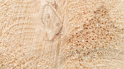 Wood Texture Wavy Ring Slice Tree Stump Top View Stock