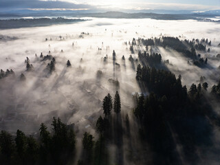 Early morning sunlight illuminates fog that has settled in the Willamette Valley in northern Oregon, not far south of Portland. The entire Pacific Northwest is known for its moist, temperate climate.