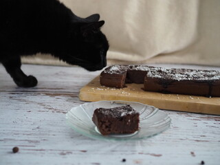 Kot wąchający ciasto czekoladowe - obrazy, fototapety, plakaty