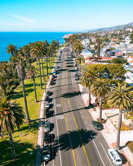 Fototapeta na wymiar Aerial view of California street along the beach