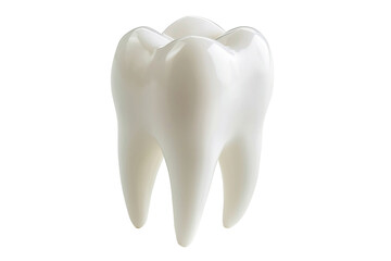 tooth isolated on white background