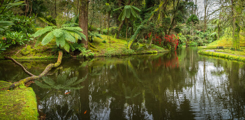 Discover the peaceful ambiance of Parque Terra Nostra reflective pond, surrounded by Sao Miguel verdant greenery and Azores tranquil charm. - 765925781