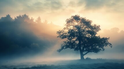 Obraz na płótnie Canvas Magical misty landscape with silhouette of majestic tree, foggy forest background, atmospheric mood