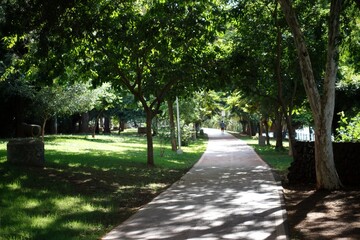 alley in the park