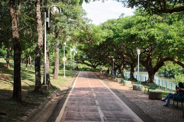 alley in the park