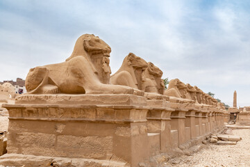 Row of Ancient Weathered Stone Sphinxes Lining the Processional Path to Karnak Temple, Luxor, Egypt - 765935108