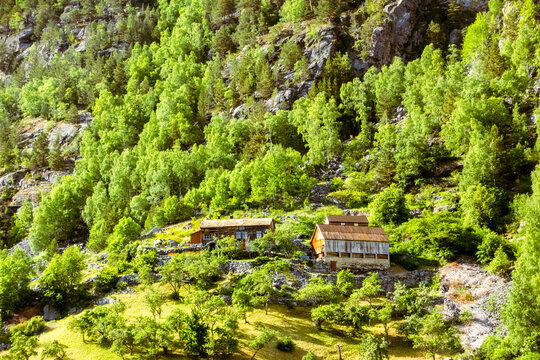 Literal houses in the hills along steep cliffs of mountain gorges of Norwegian fjords surrounded by green grass and trees