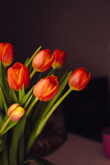 red and yellow tulips