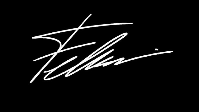 Signatures starting with letters F and subsequent letters cannot be deciphered. The video is animated frame by frame with an alpha channel. Good to use for graphic explanations or video material.