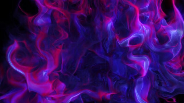 Abstract purple flame background - abstract motion fields - wallpaper - 60 fps, 4K Pro Res