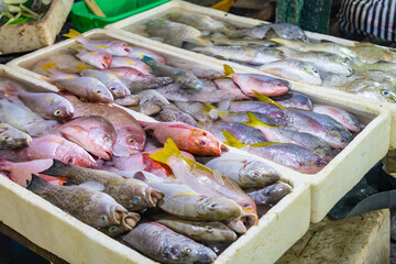 Fresh fish market in Jimbaran, Bali, Indonesia.